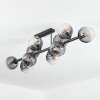 Koyoto Plafondlamp, Kogellampje Duidelijk, Rookkleurig, 10-lichts