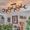 Koyoto Plafondlamp, Kogellampje Duidelijk, Rookkleurig, 10-lichts