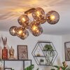 Koyoto Plafondlamp, Kogellampje Rookkleurig, 10-lichts