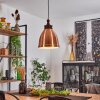 Naipa Hanger Koperkleurig, 1-licht