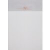 Globo Eloise Plafondlamp LED Chroom, Wit, 1-licht