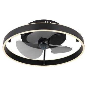 Globo Conway Plafondventilator met verlichting LED Zwart, 1-licht, Afstandsbediening