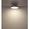 Globo Carney Plafondventilator met verlichting LED Wit, 1-licht, Afstandsbediening