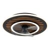 Globo Trevino Plafondventilator met verlichting LED Natuurlijke kleuren, Zwart, 1-licht, Afstandsbediening