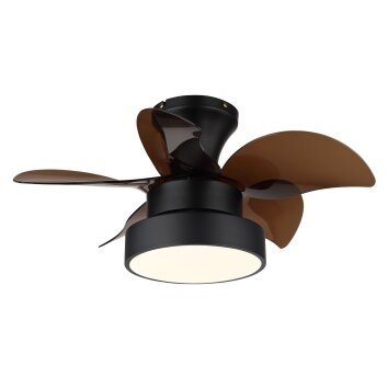 Globo Kari Plafondventilator met verlichting LED Bruin, Zwart, 1-licht, Afstandsbediening