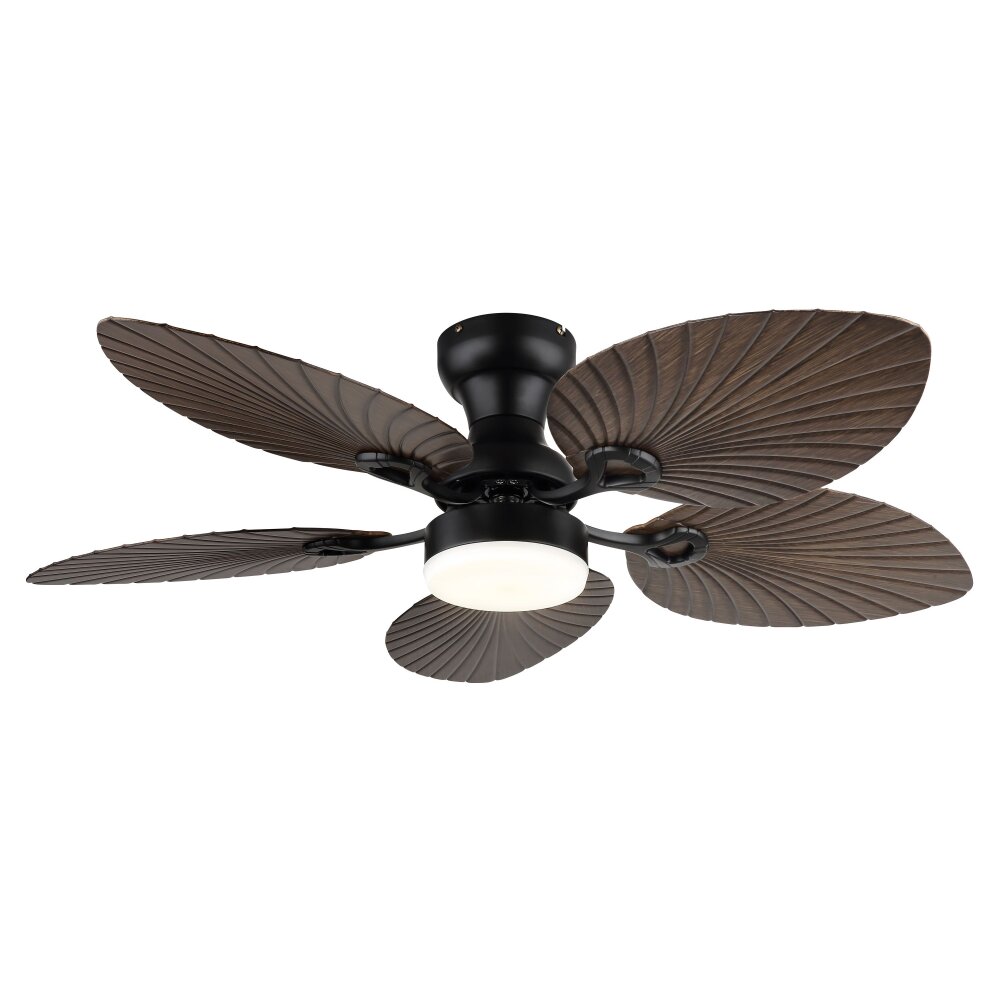 Globo Elise Plafondventilator met verlichting LED Natuurlijke kleuren, Zwart, 1-licht, Afstandsbediening main product photo