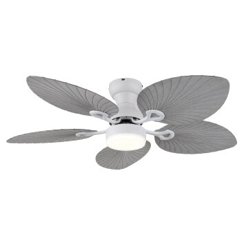 Globo Elise Plafondventilator met verlichting LED Grijs, Wit, 1-licht, Afstandsbediening