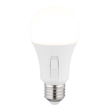 Globo E27 9 Watt daglicht wit 830 Lumen
