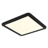 Globo Fitzpatrick Plafondlamp LED Zwart, 1-licht