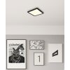 Globo Fitzpatrick Plafondlamp LED Zwart, 1-licht