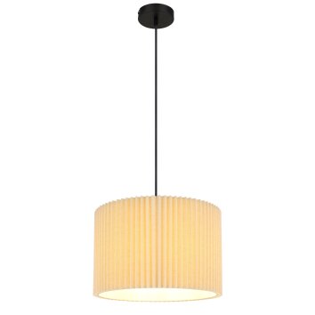 Globo Page Hanglamp Zwart, 1-licht