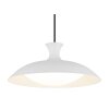 Globo Rocha Hanglamp LED Wit, 1-licht