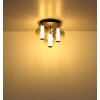 Globo Lacy Plafondlamp LED Zwart, 1-licht