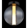 Globo Lacy Plafondlamp LED Zwart, 1-licht