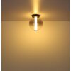 Globo Lacy Plafondlamp LED Zwart, 1-licht