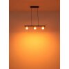 Globo Higgins Hanglamp Goud, Zwart, 3-lichts