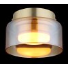 Globo Higgins Plafondlamp Goud, 1-licht