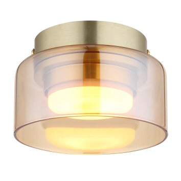 Globo Higgins Plafondlamp Goud, 1-licht