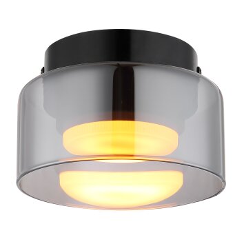 Globo Higgins Plafondlamp Zwart, 1-licht