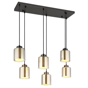 Globo Felicia Hanglamp Zwart, 6-lichts