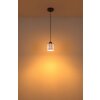 Globo Felicia Hanglamp Zwart, 1-licht