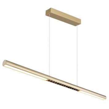 Globo Cody Hanglamp LED Goud, 1-licht