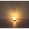 Globo Lizzy Tafellamp LED Goud, 1-licht