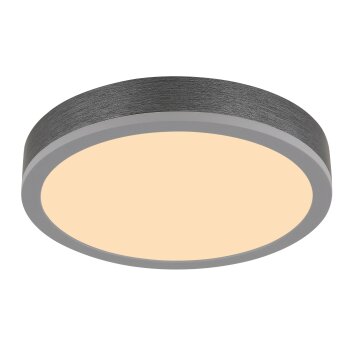 Globo Doro Plafondlamp LED Grijs, Zilver, 1-licht