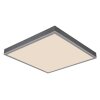 Globo Doro Plafondlamp LED Grijs, Zilver, 1-licht, Afstandsbediening