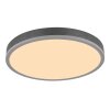 Globo Doro Plafondlamp LED Grijs, Zilver, 1-licht