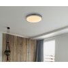 Globo Doro Plafondlamp LED Grijs, Zilver, 1-licht