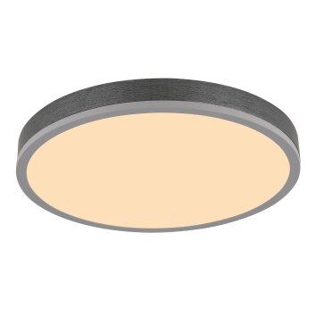Globo Doro Plafondlamp LED Grijs, Zilver, 1-licht