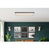 Globo Doro Plafondlamp LED Grijs, Zilver, 1-licht, Afstandsbediening