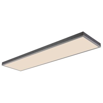 Globo Doro Plafondlamp LED Grijs, Zilver, 1-licht, Afstandsbediening