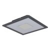 Globo Doro Plafondlamp LED Zilver, Wit, 1-licht