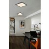 Globo Doro Plafondlamp LED Zilver, Wit, 1-licht