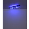 Globo Jayden Plafondlamp LED Grijs, Zwart, 1-licht, Afstandsbediening, Kleurwisselaar