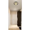 Globo Jayden Plafondlamp LED Goud, Zwart, 1-licht