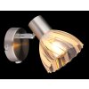 Globo Zachery Plafondlamp, Plafondspot, Wandlamp, Muurspot Nikkel mat, 1-licht