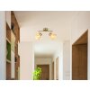 Globo Zachery Plafondlamp Messing, 2-lichts