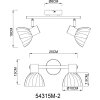 Globo Zachery Plafondlamp Messing, 2-lichts