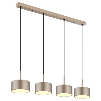 Globo Raymond Hanglamp LED Antraciet, Zwart, 1-licht