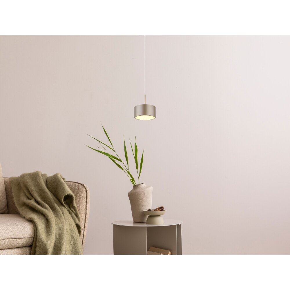 Globo Raymond Hanglamp LED Antraciet, Zwart, 1-licht