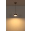Globo Raymond Hanglamp LED Antraciet, Zwart, 1-licht