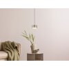 Globo Raymond Hanglamp LED Antraciet, Zwart, 1-licht