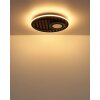 Globo Woody Plafondlamp LED Natuurlijke kleuren, Zwart, 1-licht