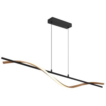 Globo Watkins Hanglamp LED Zwart, 1-licht