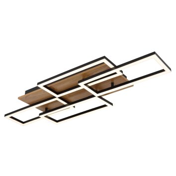 Globo Jeffry Plafondlamp LED Natuurlijke kleuren, Zwart, 1-licht, Afstandsbediening