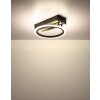 Globo Blevins Plafondlamp LED Natuurlijke kleuren, Zwart, 1-licht