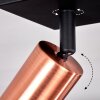 Tulla Plafondlamp Koperkleurig, Zwart, 3-lichts